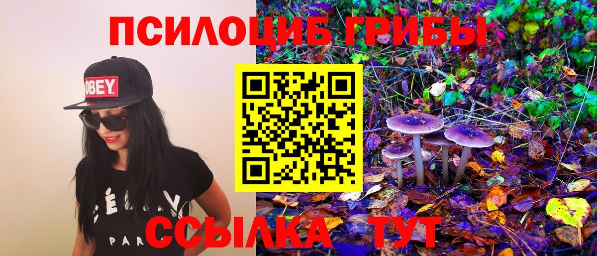 Псилоцибиновые грибы ЛСД  Псилоцибиновые грибы MAGIC MUSHROOMS  дарнет шоп  Чайковский  Вход с VPN 